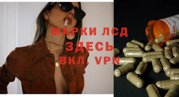 прущие крисы Аркадак