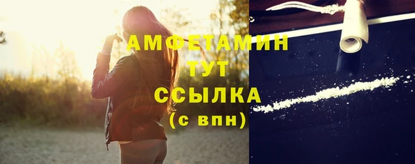 ГАЛЛЮЦИНОГЕННЫЕ ГРИБЫ Арсеньев